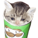 catpringleq Slack emoji