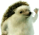 hedgehogyesq Slack emoji