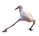 razzle dazzle Slack emoji