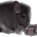 chinchilla moneyq Slack emoji