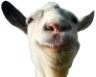 goatq Slack emoji