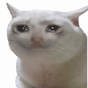 crycat Slack emoji