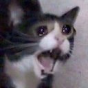 angrycat Slack emoji