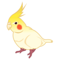 cockatiel Slack emoji