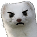 ferretmadq Slack emoji