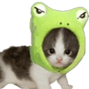 froggy catq Slack emoji