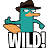perrywildq Slack emoji