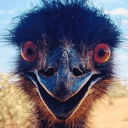 emuoncrackq Slack emoji
