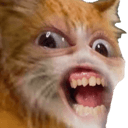 catrickyq Slack emoji