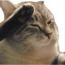 cat salute Slack emoji