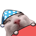 catnightq Slack emoji