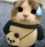 catoopsieq Slack emoji