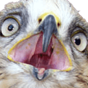falconwtfq Slack emoji