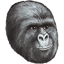 gorilla smirk Slack emoji