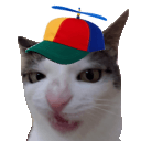 goofycatq Slack emoji