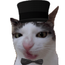 poshcatq Slack emoji