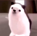 hedge hogq Slack emoji
