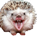 hedge madq Slack emoji