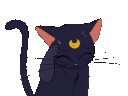 sm luna Slack emoji