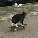 byeskateq Slack emoji