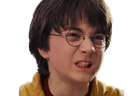 harry potter angry face Slack emoji