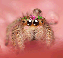 spider blushq Slack emoji