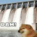 doge damq Slack emoji