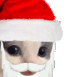 chihuahua santa beard Slack emoji