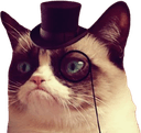 grumpycat tophatq Slack emoji