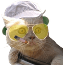 fear and loathing catq Slack emoji