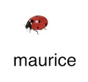 maurice ladybug Slack emoji
