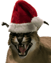 floppaxmasq Slack emoji