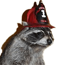 fireraccoonq Slack emoji