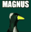magnusq Slack emoji