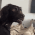 meme dog confused Slack emoji