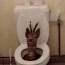 reindeertoiletq Slack emoji
