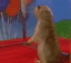 beaver stare Slack emoji