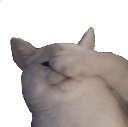 catfacepalmq Slack emoji