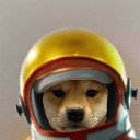 shiba golden helmet Slack emoji