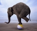 hadoop balancer Slack emoji