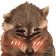 raccoon blushq Slack emoji