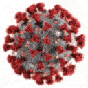 coronavirus Slack emoji
