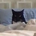 steveiswatchingu Slack emoji