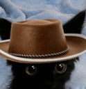 cat countryq Slack emoji