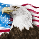 americaeagleq Slack emoji