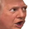 trump pogq Slack emoji