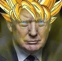 goku trumpq Slack emoji