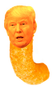 cheetotrumpq Slack emoji