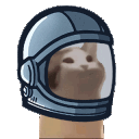 cat popq Slack emoji