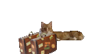 headoutcat Slack emoji